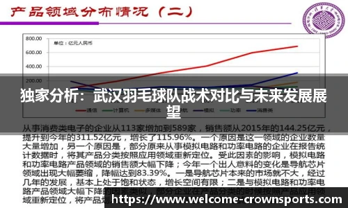 独家分析：武汉羽毛球队战术对比与未来发展展望