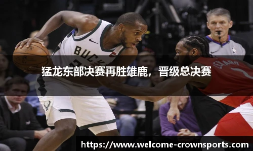 猛龙东部决赛再胜雄鹿，晋级总决赛