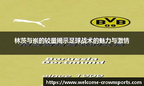 林茨与岽的较量揭示足球战术的魅力与激情